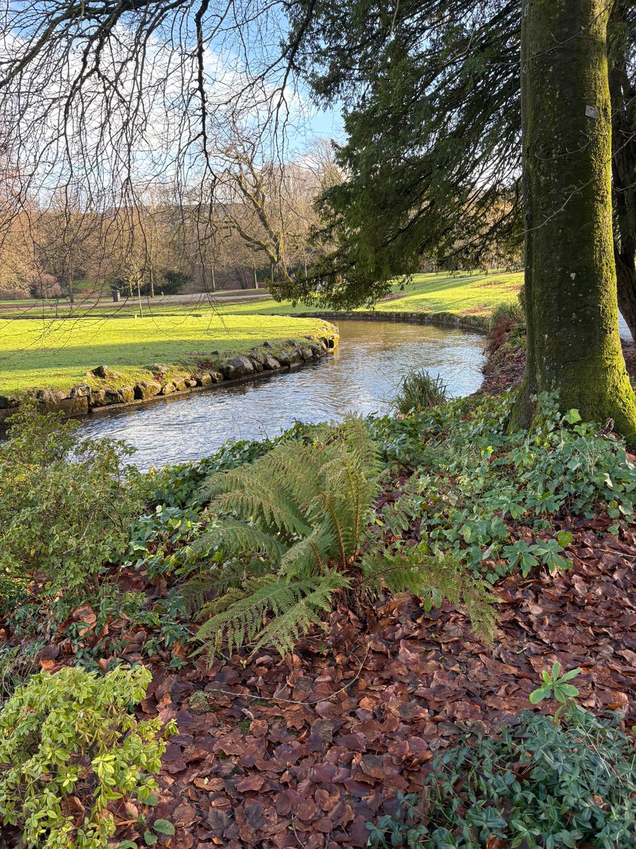 MonicaCrimmins's tweet image. Some more pics from our walk from the Pavilion gardens in Buxton to Burbage Edge #Buxton #Derbyshire