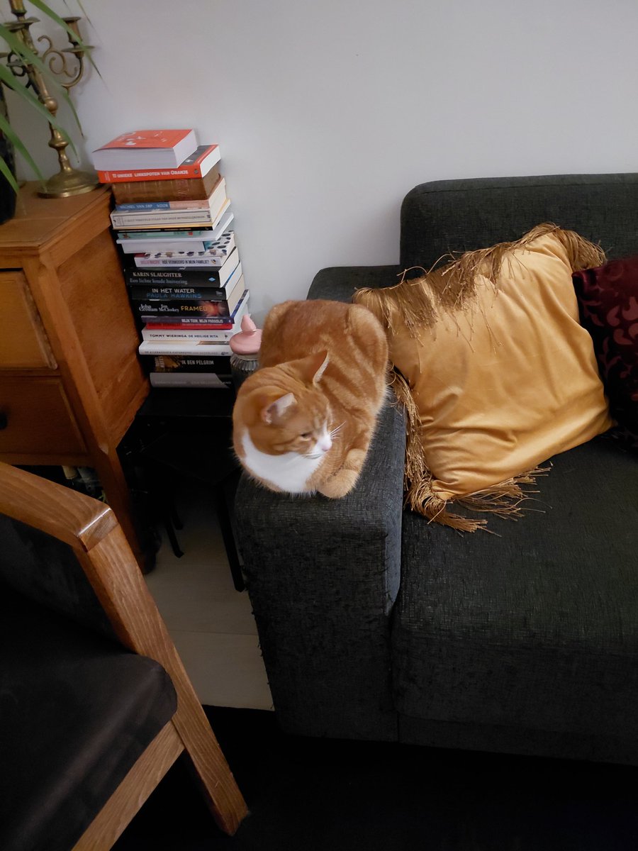 Tegelijk op dezelde bank. Oke, er anderhalve meter tussen, maar het kan dus wel.