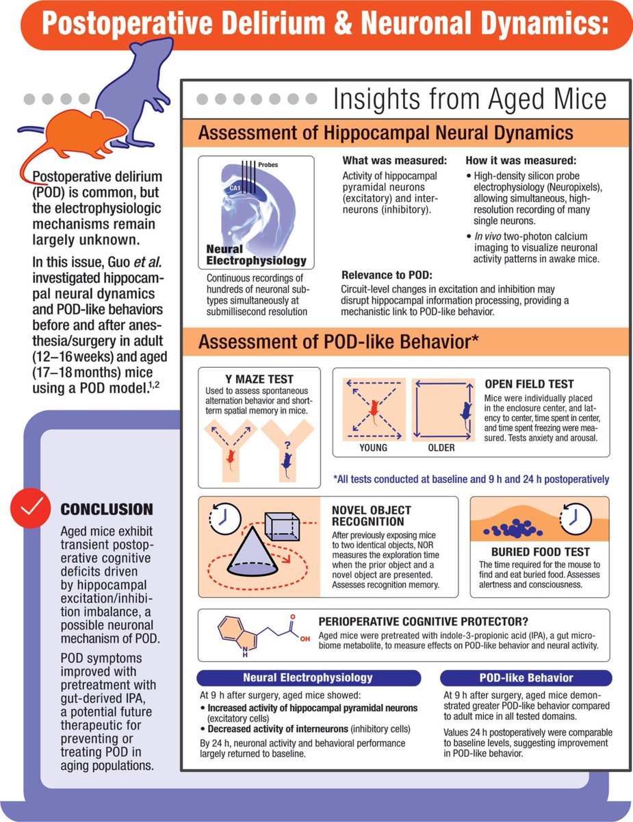 Revisit the September 2025 Infographic in #Anesthesiology - Postoperative Delirium and Neuronal Dynamics: Insights from Aged Mice 🎨 ow.ly/87lK50XxKa8