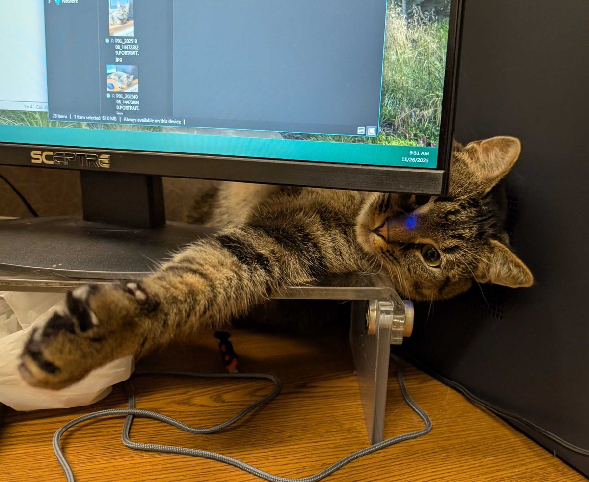 HumaneSocietyJeffCty tweet media