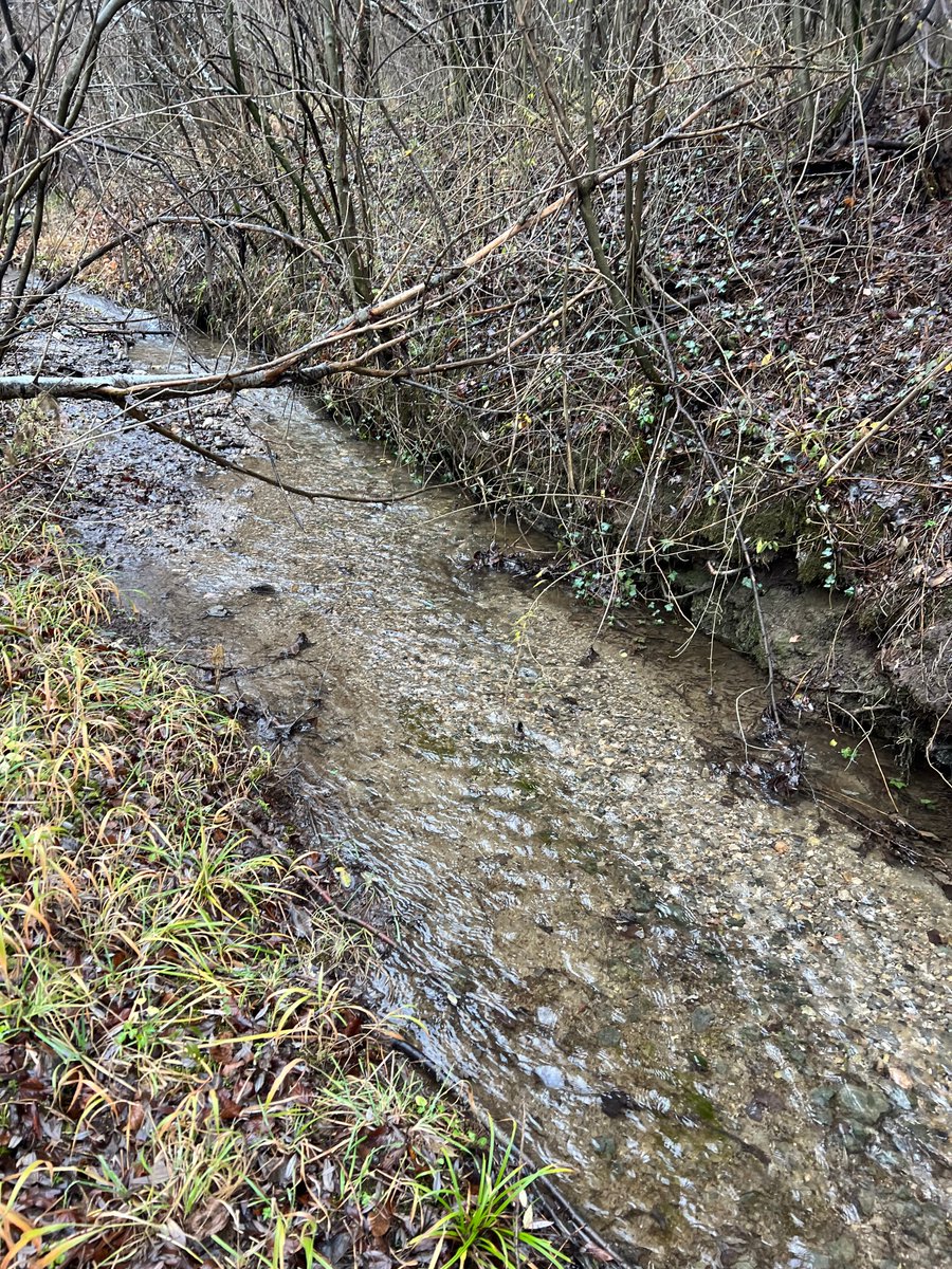 החורף מתחיל והמים סוף סוף חזרו