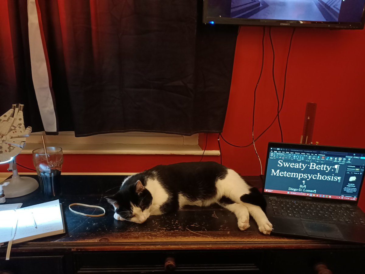 Raul has allowed me to sit on his throne and generously allowed me a corner of the desk to write on

Just got to try and not touch those little pink toe beans...

#caturday
#Writingcommunity