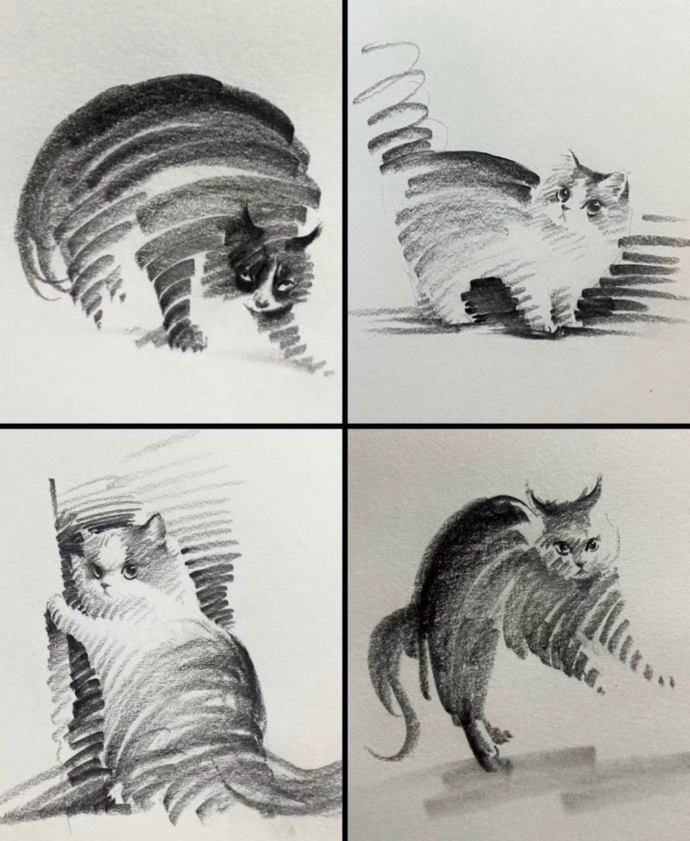 catshealdeprsn's tweet image. 