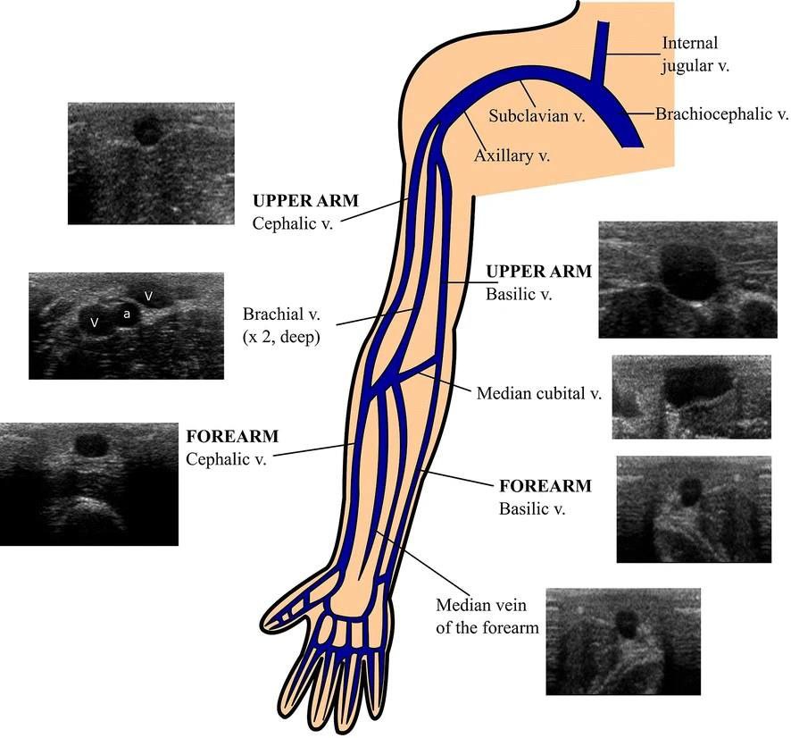 mznljrdy47597's tweet image. linkedin.com/posts/mazen-ab…