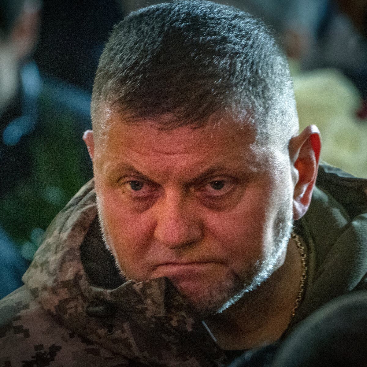 NAFOvoyager's tweet image. “Ukraine needs real security guarantees: NATO membership, nuclear weapons on its soil, or a strong allied military presence against russia.” — Valerii Zaluzhnyi.

True and powerful words, General — but why won’t our so-called allies act?