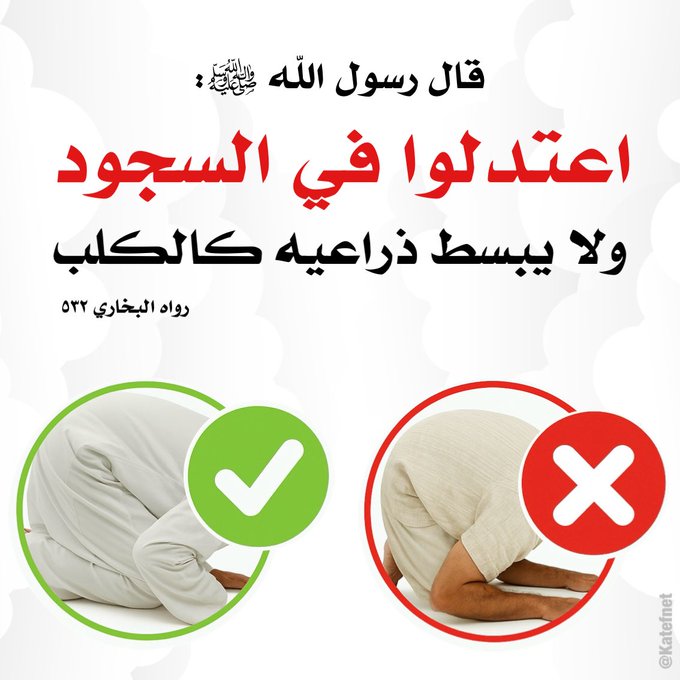 الكتابُ والسُّنة (@kitabwasunna93) on Twitter photo 