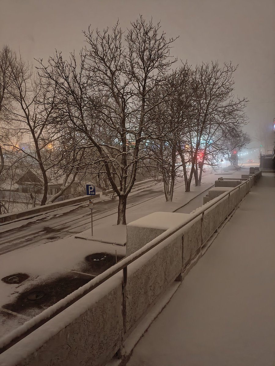 Бхактибуханта Свами Доупада tweet media