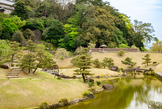 BiztekWebVideo's tweet image. 日本酒なう