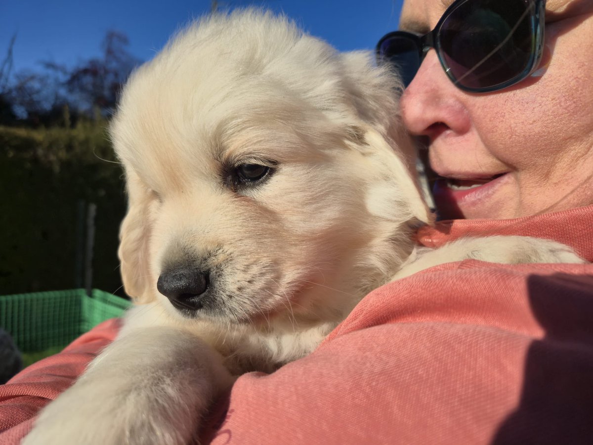 Dr Emma Kell FCCT tweet media