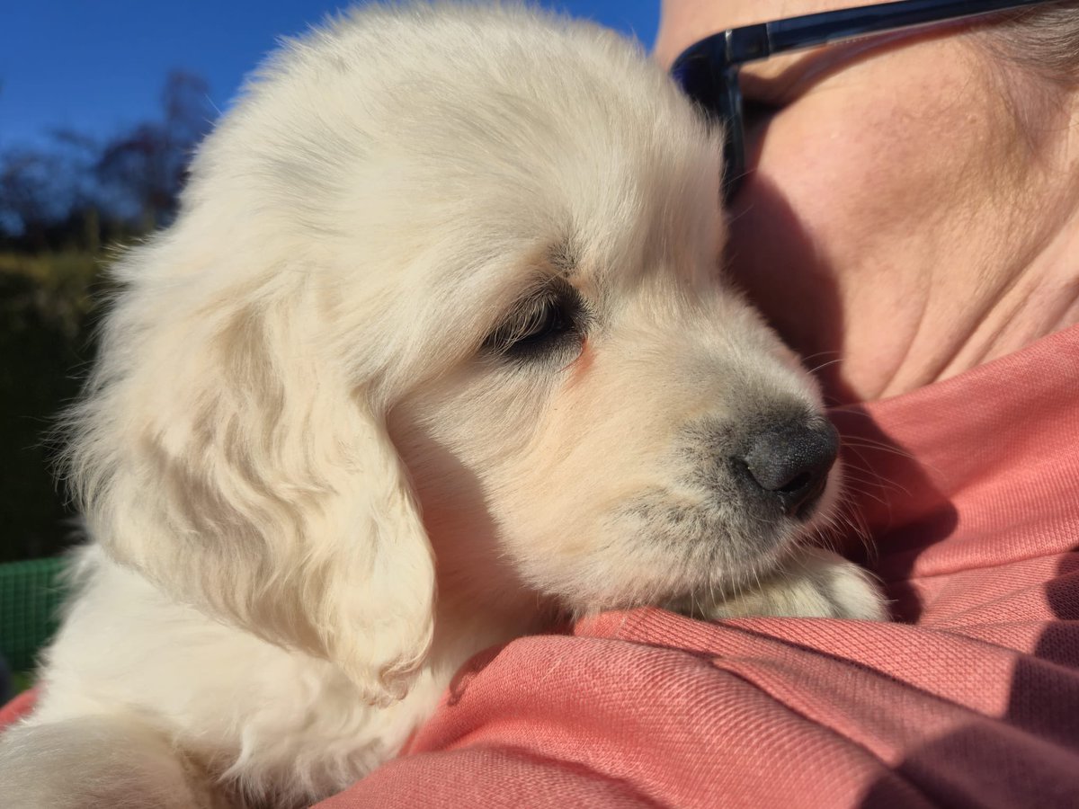 Dr Emma Kell FCCT tweet media