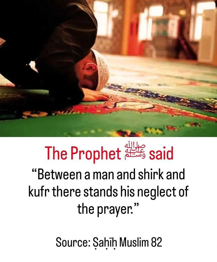 Dailyremindrs_'s tweet image. The Prophet (ﷺ) said: