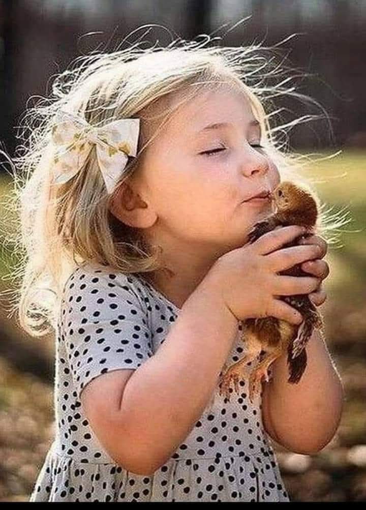 cömertliğin en az rastlanır, en saf ve sahici halidir;
önemsemek..

#Geceye