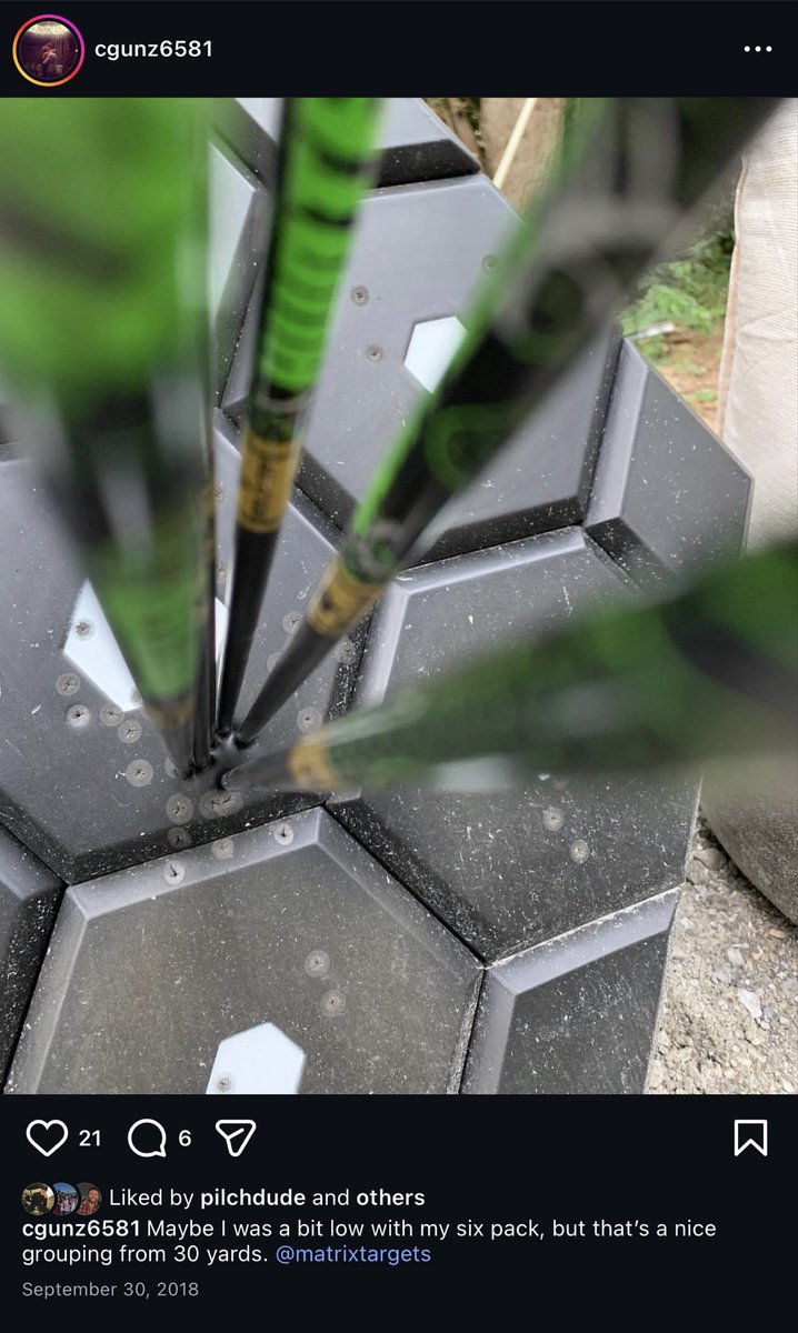 Maybe time to get back into archery