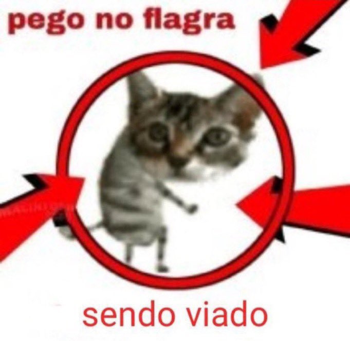 _baconbaker2's tweet image. Ontem eu, Edris i Vivi bem girly girls com nosso cigarrinho, vinhozinho sentada no chão falando baboseirinhas