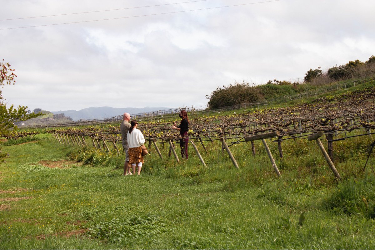 Páter, Bodegas Monje tweet media