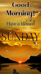 barbiesway's tweet image. Be happy! #sundayvibes #sundaymotivation #sundaythoughts #sundayfun #SundayMood “Life shrinks or expands in proportion to one’s courage.”
– Anaïs Nin
“The only thing that will make you happy is being happy with who you are.”
– Goldie Hawn