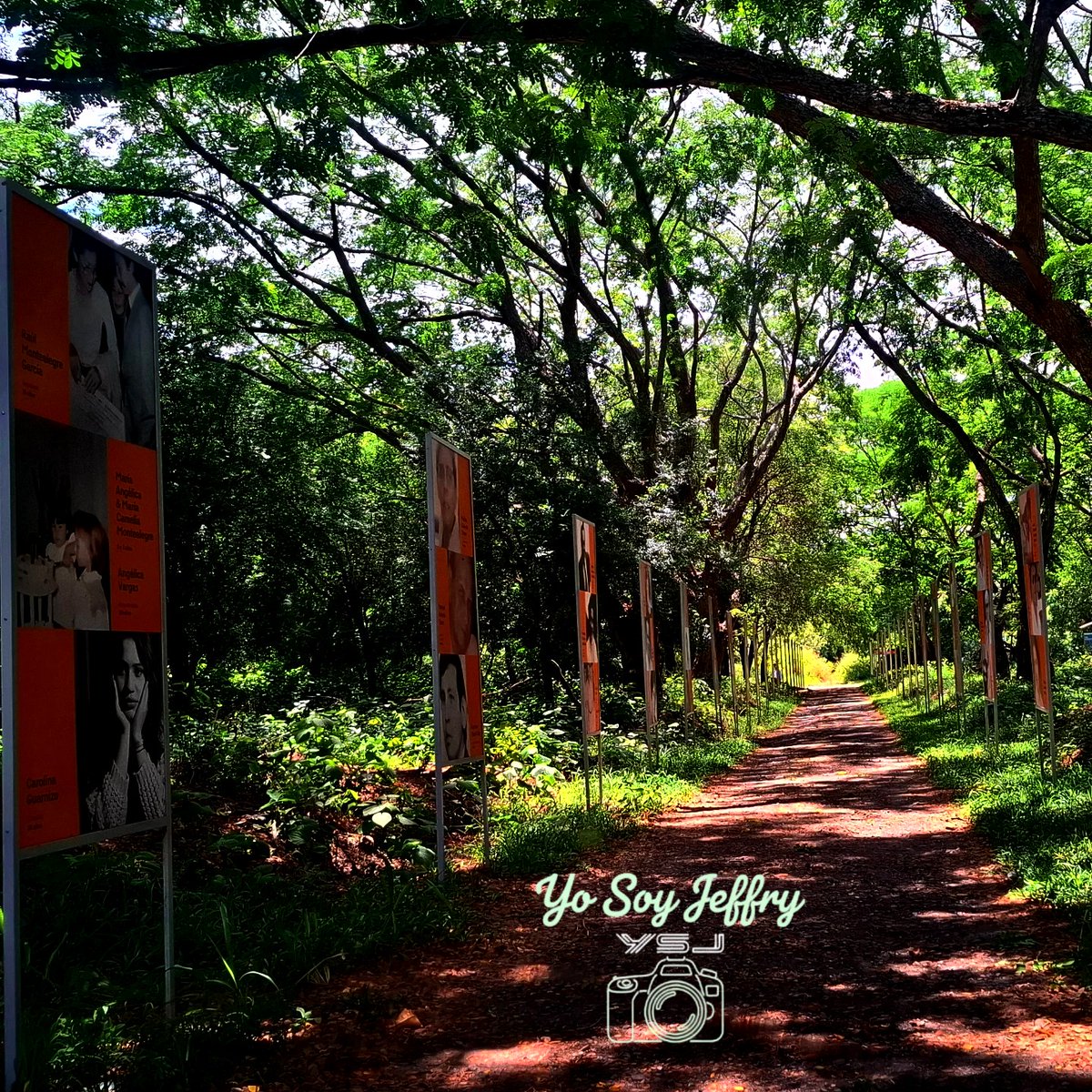 Profe_jeff30's tweet image. #INDvSA