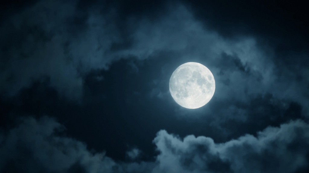 theRadicalFIRE's tweet image. Forget everything you thought you knew. These facts will rewrite your version of reality.

Read more 👉 lttr.ai/AllXj

#TrueFacts #Facts #TrendingTopics