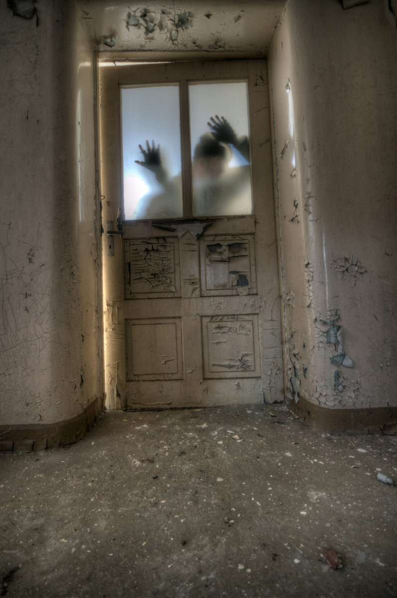 HorrifyingHist1's tweet image. If you&apos;re feeling brave enough to dive into the world of ghosts and ghouls, come join us on our blog - it&apos;s like a haunted house, but with less cobwebs 😱👻 #SpookyVibes #ScareTactics #DontScreamTooLoud

horrifying-history-shop.fourthwall.com
Photo by Nathan Wright on Unsplash.