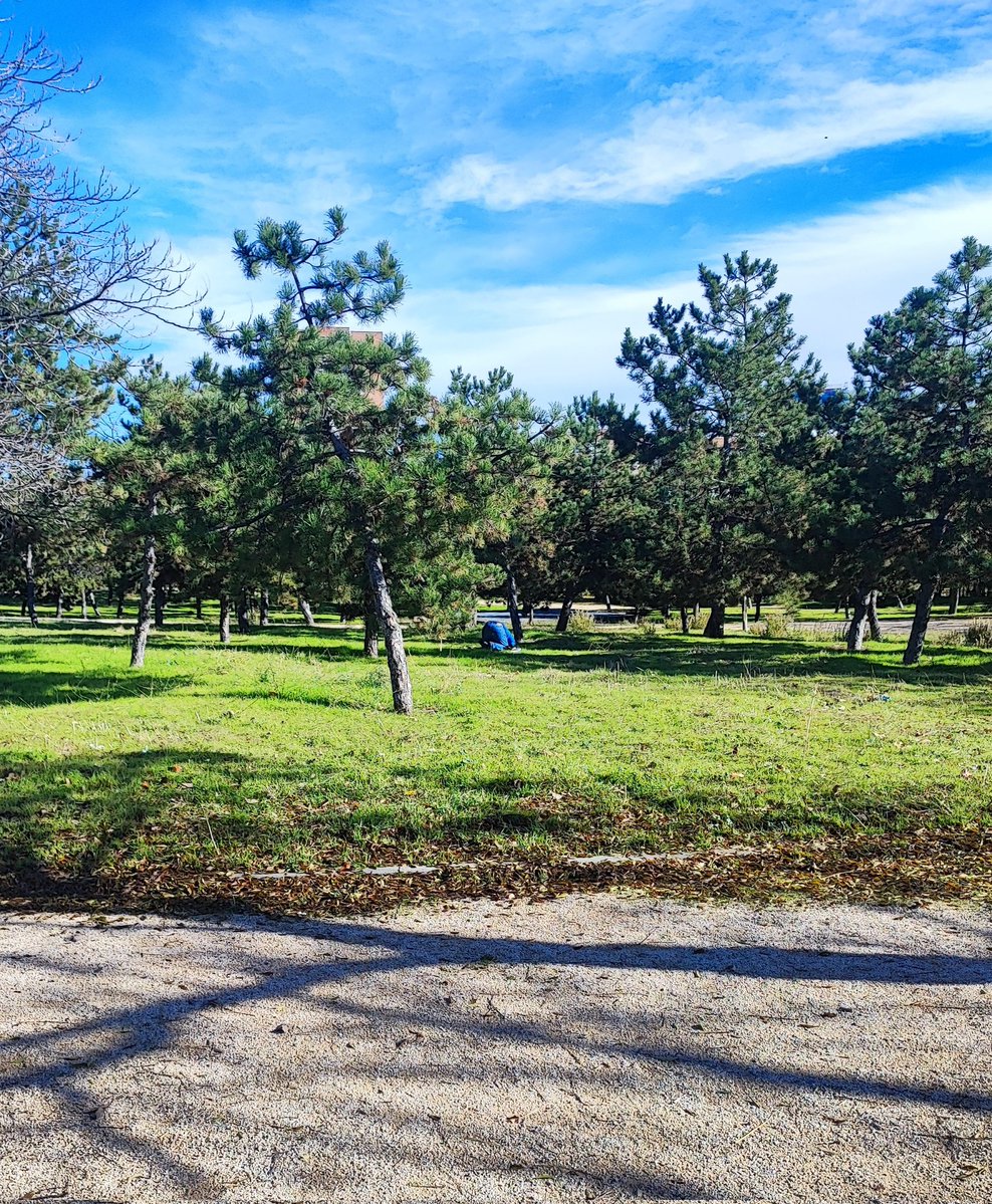 Y sacando al perro en mitad del campo me encontré un moro rezando a la Meca (decidí soltar a Oreo)