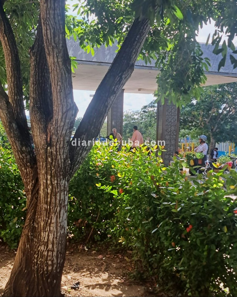 diariodecuba's tweet image. #SOSCuba: Varios oficiales de la #SeguridadDelEstado están apostados a la entrada del Hospital Clínico Quirúrgico Lucía Iñiguez Landín de Holguín, don#de se encuentra ingresado el #PresoPolítico Yosvani Rosell Garcia Caso, quien cumple hoy 39 en #HuelgaDeHambre. 

&quot;Pasó la noche…