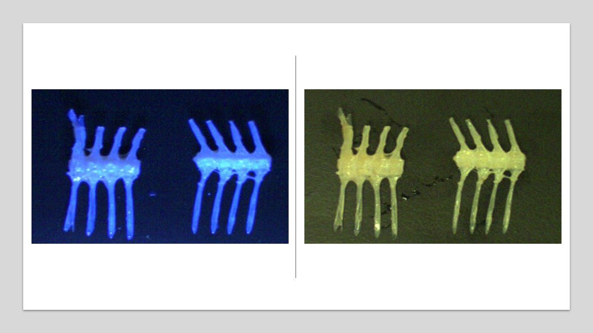Vision_Systems's tweet photo. Here's a very interesting article about how UV-C LEDs can be used in advanced inspections and quality control. #visionsystemsdesign has the details: https://t.co/34NRn57nQB. #machinevision #machinevisionlighting #LEDlighting#factoryautomation #automatedvision #visionsystem. https://t.co/sgDSpzvzow