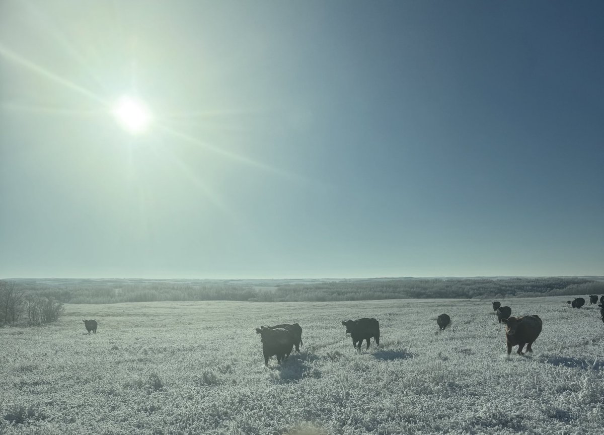 Sean McGrath tweet media