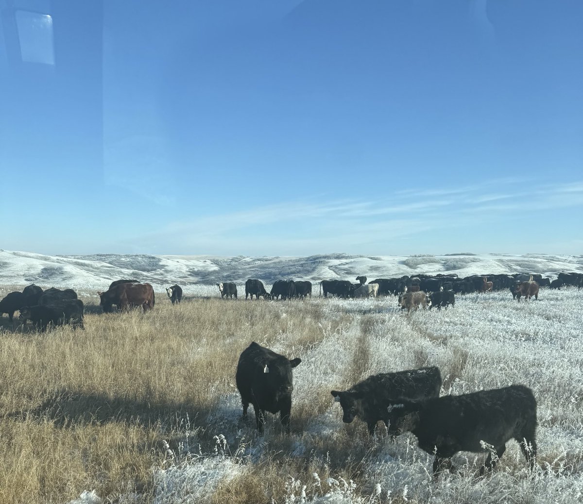 Sean McGrath tweet media