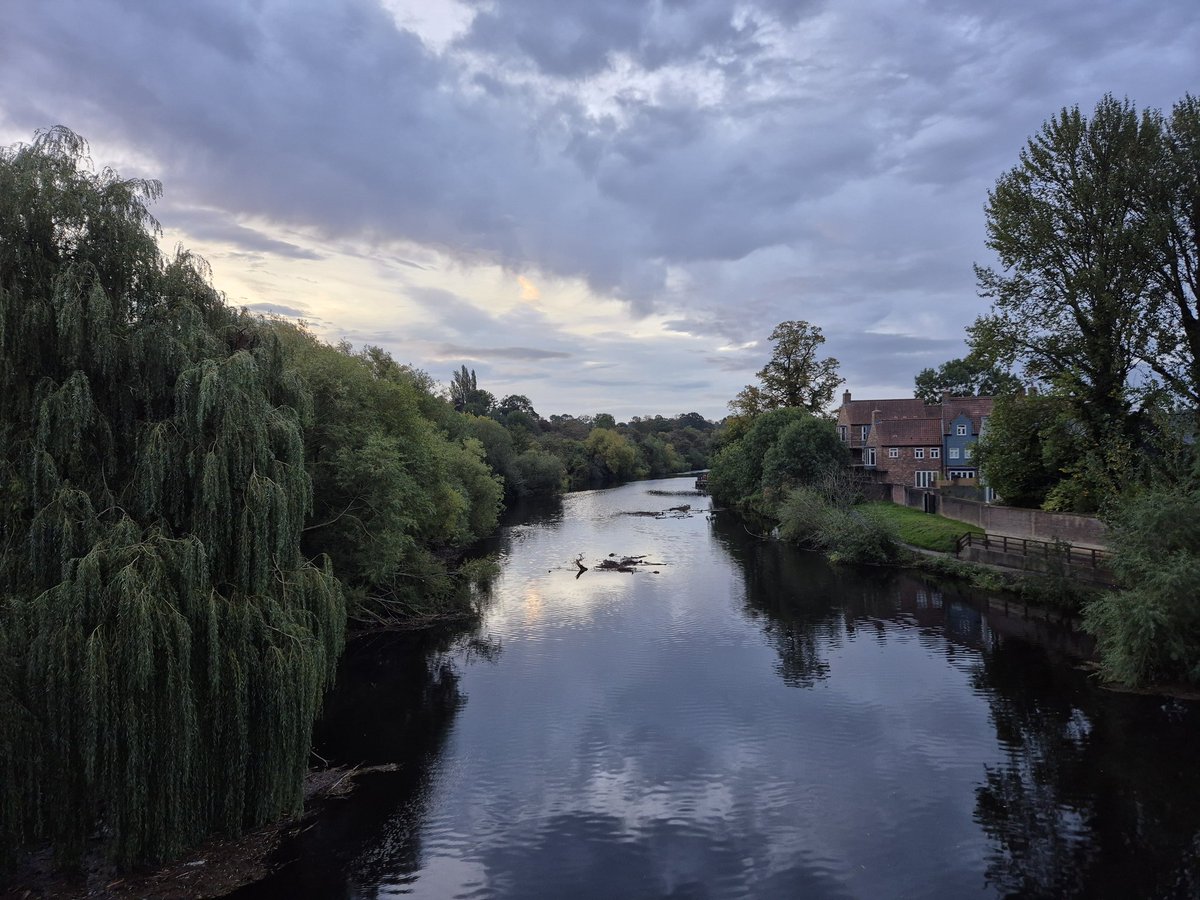 Milz Pixie tweet media