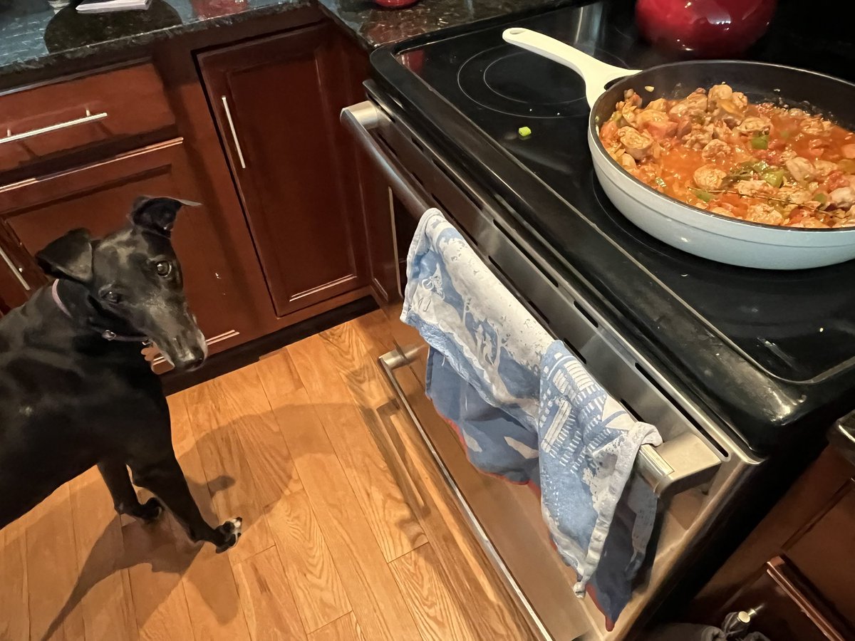 Current POV. Snow day so we’re inside. Mom made jambalaya and I’m like, where’s mine? ❄️🥘