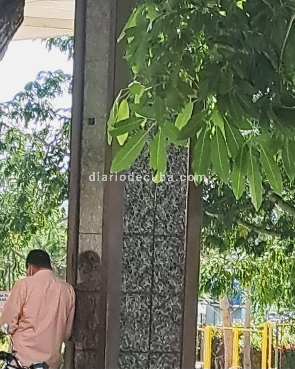 diariodecuba's tweet image. #SOSCuba: Varios oficiales de la #SeguridadDelEstado están apostados a la entrada del Hospital Clínico Quirúrgico Lucía Iñiguez Landín de Holguín, don#de se encuentra ingresado el #PresoPolítico Yosvani Rosell Garcia Caso, quien cumple hoy 39 en #HuelgaDeHambre. 

&quot;Pasó la noche…