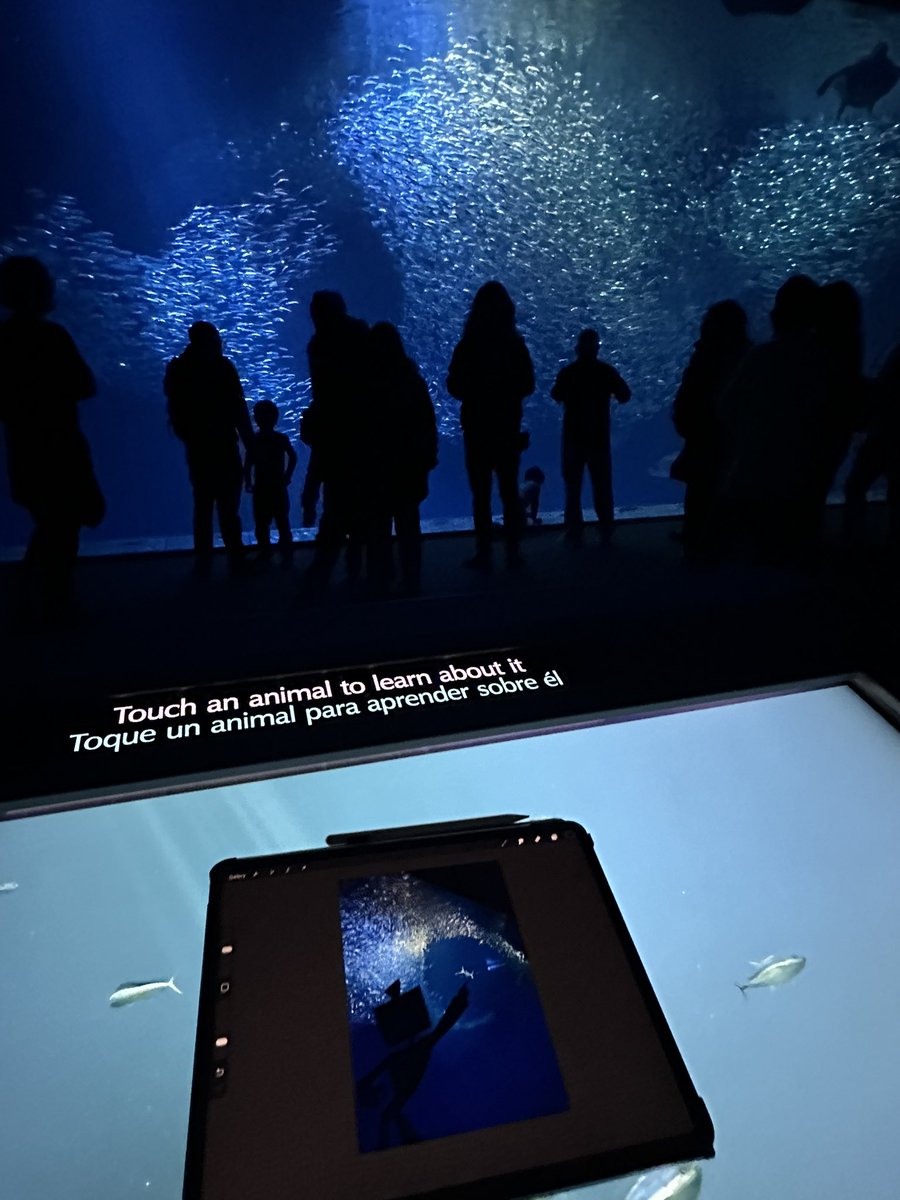 parad0x_art's tweet image. working on a doodle…