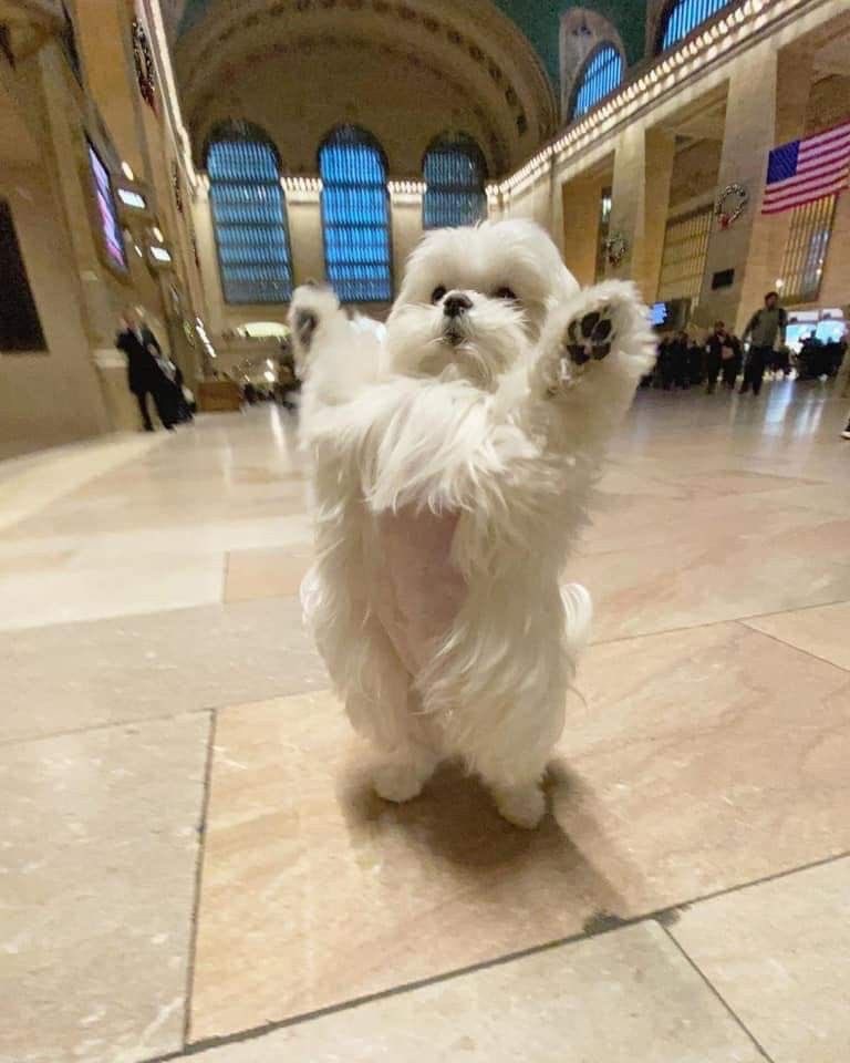 twaniimals's tweet photo. https://t.co/eVtspo77e8