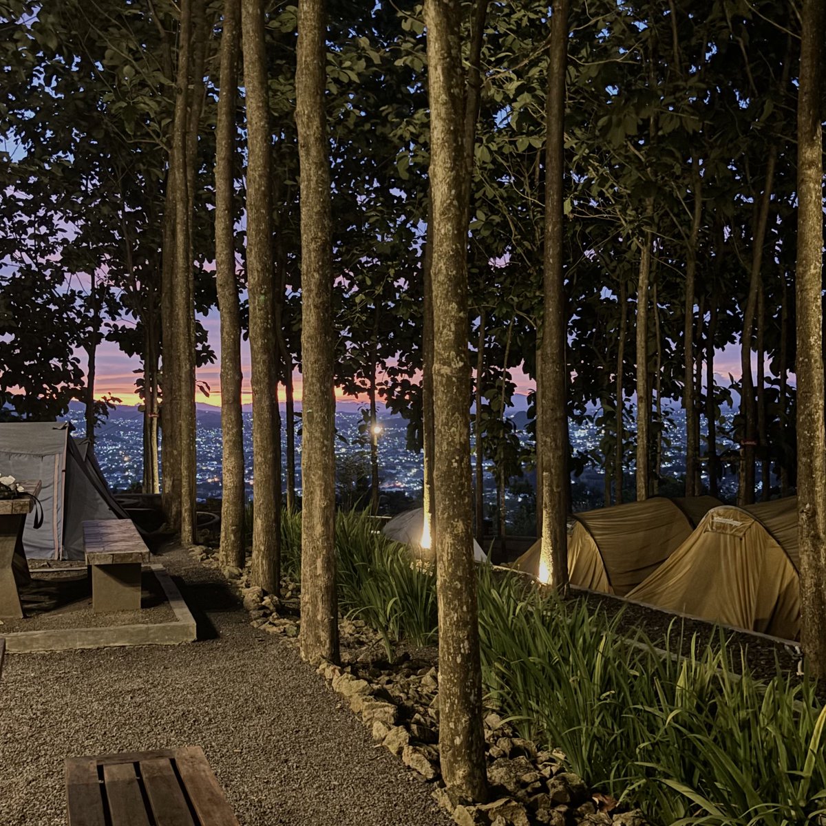 pluvii_ophile's tweet photo. view at camp⛺️ https://t.co/HtnSTsZJ7y