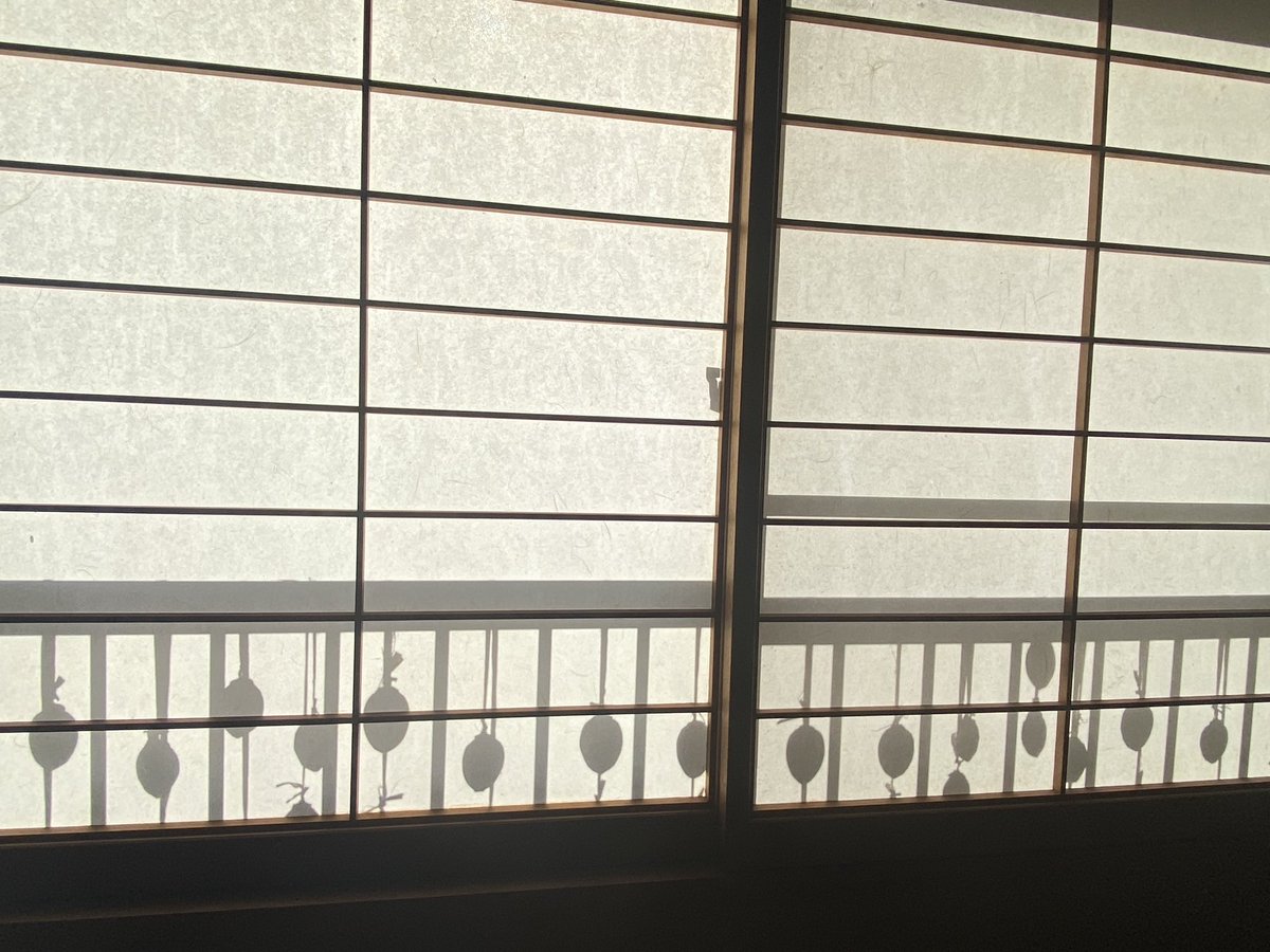 WcgwS5LULpK8Dim's tweet image. 毎年猿に持っていかれるのに、
また懲りずに母が作った干し柿が朝日に並んでる