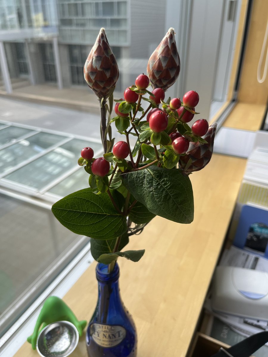 しいたけ.の空間占い | アクティビティ | Sony Park, image size:900x1200