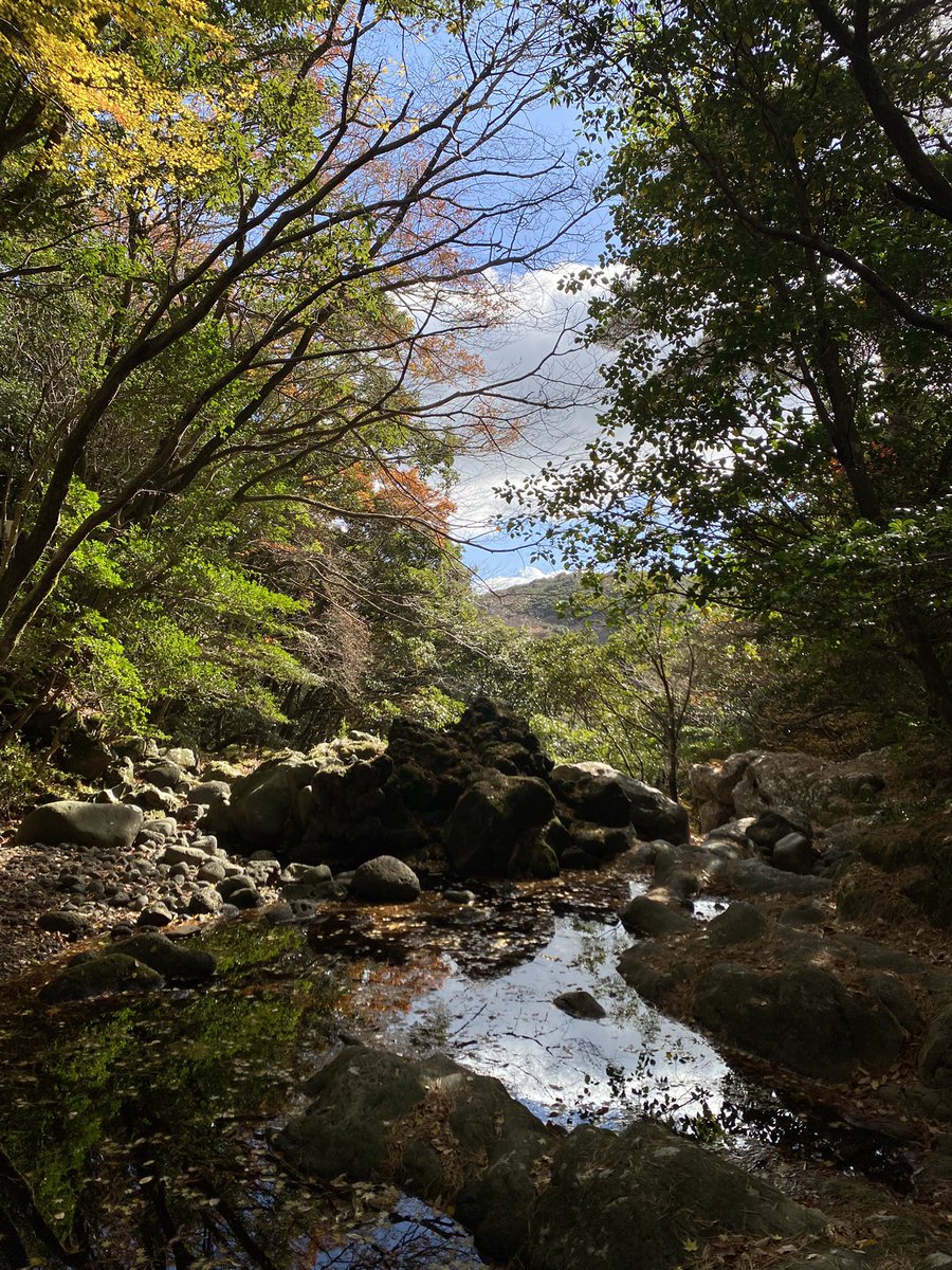 한라산 둘레길 동백길을 어제 걸어보았다. 산길 15킬로 6시간 가량 걸렸는데 사진으로는 담지 못하는 아름다움이었다. 날이 더워서 입고 간 옷 훌훌 벗고 맨투맨티 하나로 땀 뻘뻘. 제주의 가을 정말 좋다.