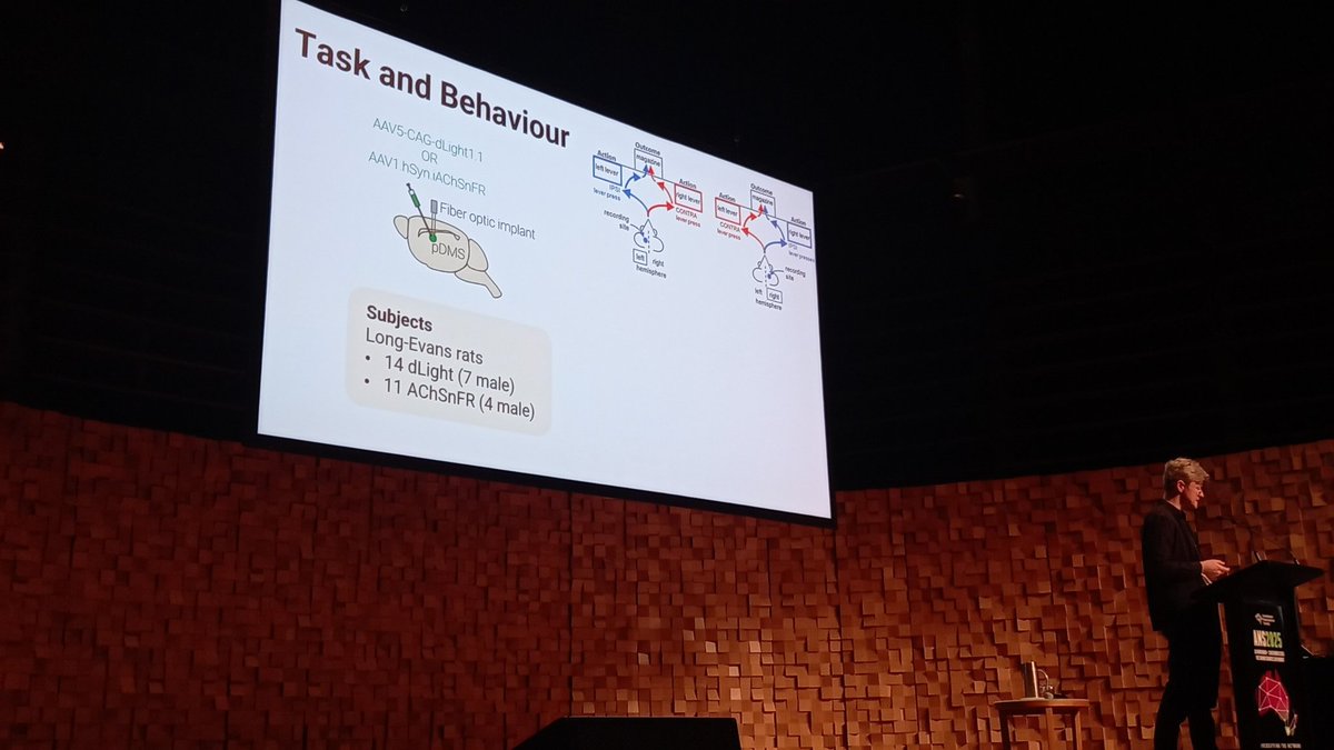 AusNeuroSoc's tweet photo. Symposium #ANSConference25 Dopamine and Acetylcholine in Learning and Disease with Thomas Burton. https://t.co/NjlabtU0Vy