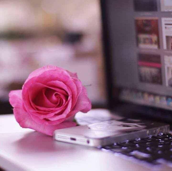 كما تتجاور الورود بألوانها المختلفة في انسجامٍ تام،، هكذا تتعايش القلوب حين تختار العفو..♡🌷♡.