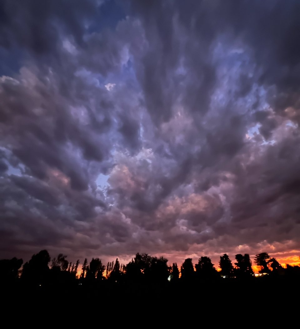 alevigilmalbec's tweet image. Fin de Domingo #mendoza