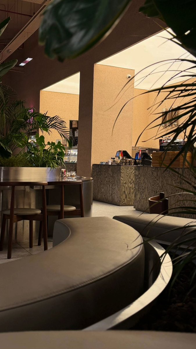 bashqali10's tweet image. عشوائيات الأسبوعية 🤎