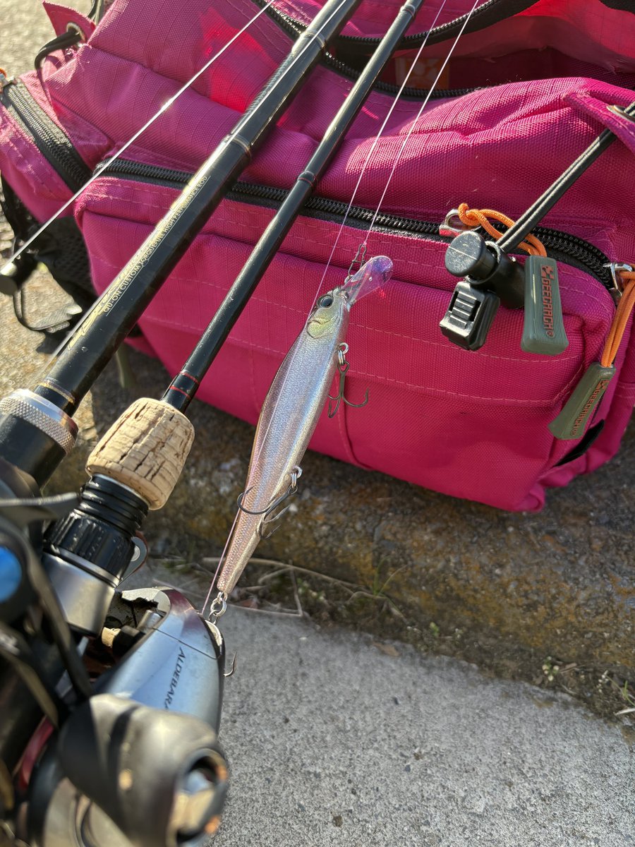 トネチッタ tonecitta (@glitters83) / Posts / X