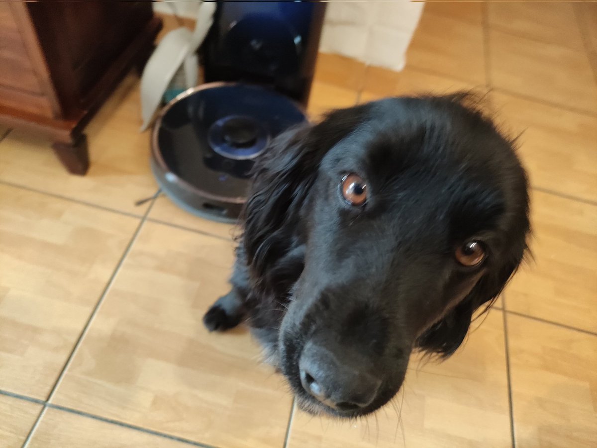 Benji ❤️ tweet media