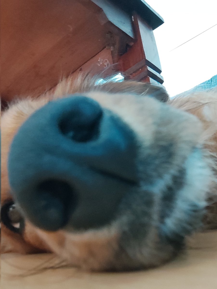 Benji ❤️ tweet media