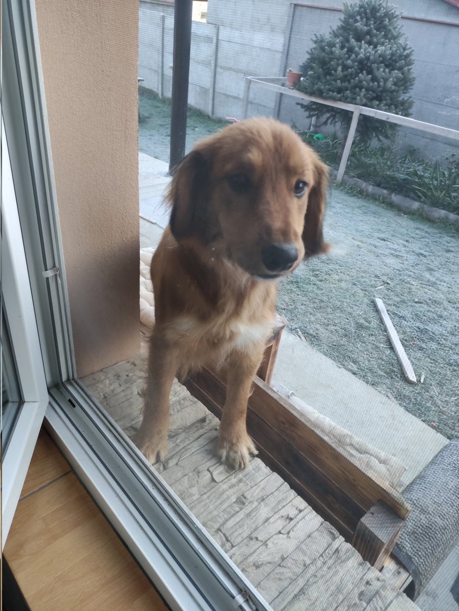 Benji ❤️ tweet media