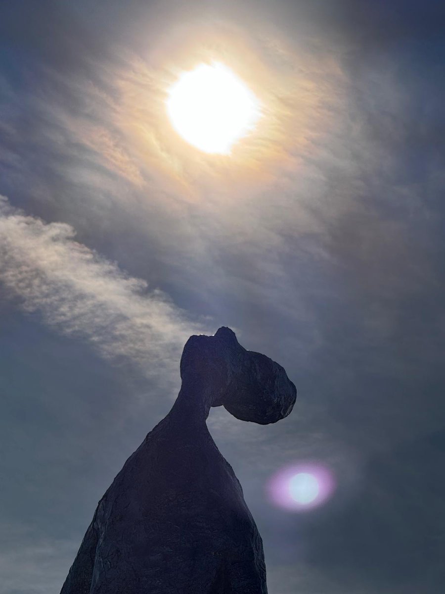 StLouisSkies's tweet image. St. Louis Forest Park 11/30/25 “Looking Up” by St. Louis-born #Artist Tom Friedman. Says #Friedman, “Art, for me, is a context to slow the viewer’s experience from their everyday life in order to think about things they haven’t thought about, or to think in a new way.” #contrails