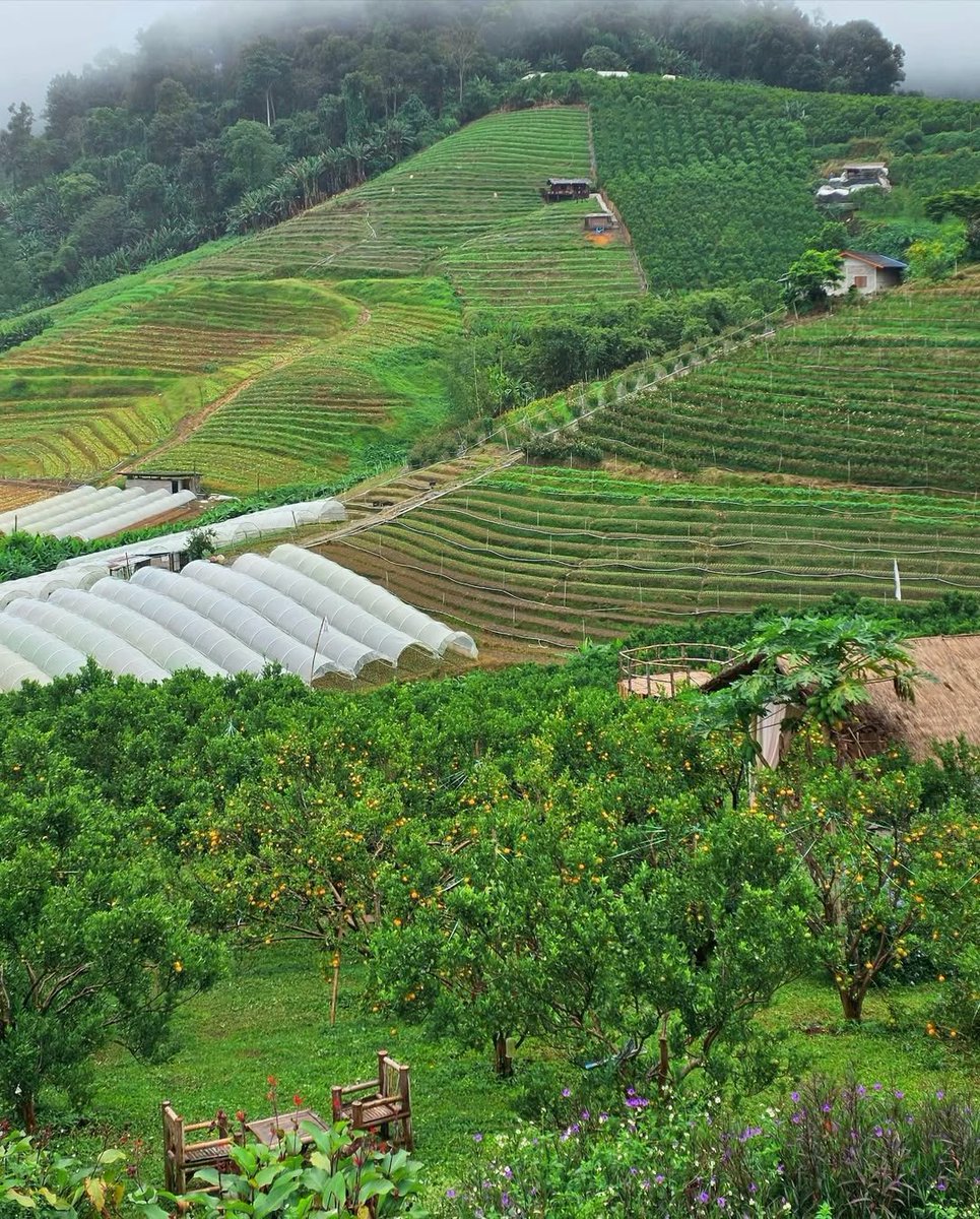 184180cm's tweet image. สวัสดีเช้าวันจันทร์แรกของเดือน 12/12 ค้าบ เดินทางมาจนถึงสิ้นปีแล้ว ขอให้ 1 เดือนที่เหลือเป็นช่วงเวลาที่ดีของนานิ ได้ทานแต่ของอร่อย สุขภาพแข็งแรงทุกวัน พร้อมเริ่มต้นสิ่งที่ดียิ่งขึ้นไปในปีหน้า ช่วงนี้อากาศเปลี่ยน ดูแลสุขภาพด้วยนะ 🥹🫶🏻🤍

HAVE A NANI MORNING

#hirunkit_ @hirunkit_