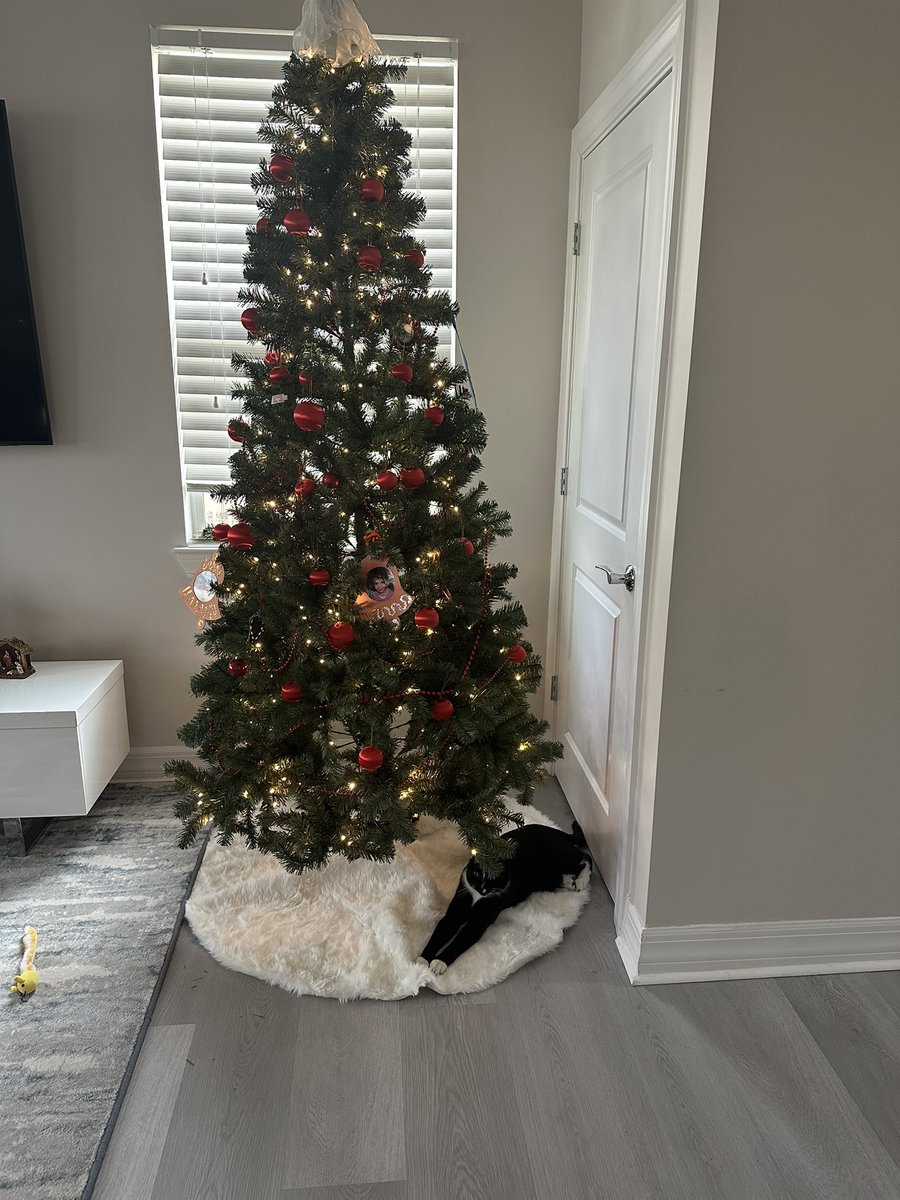 101.5 LITE FM tweet media