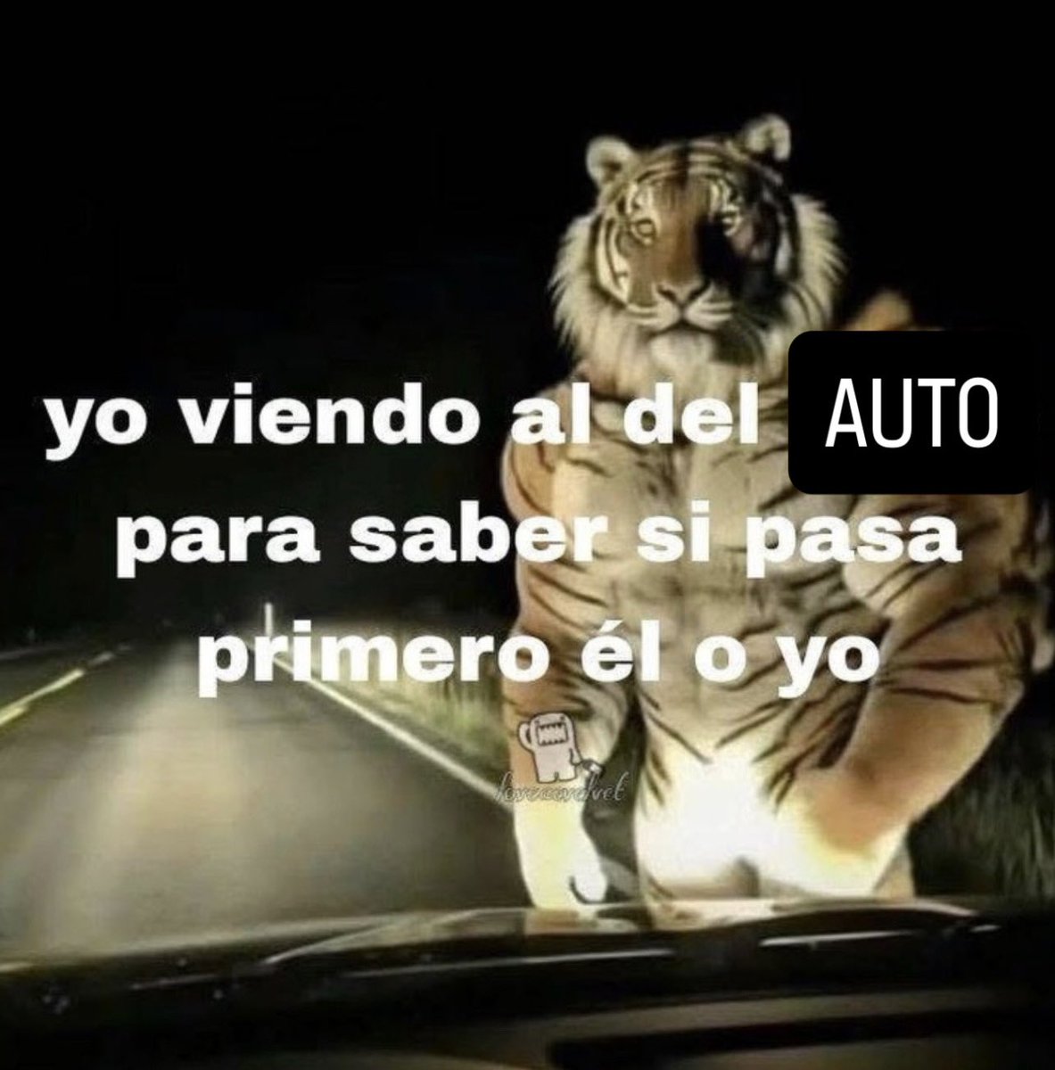 el cocas (@bautizita) on Twitter photo 