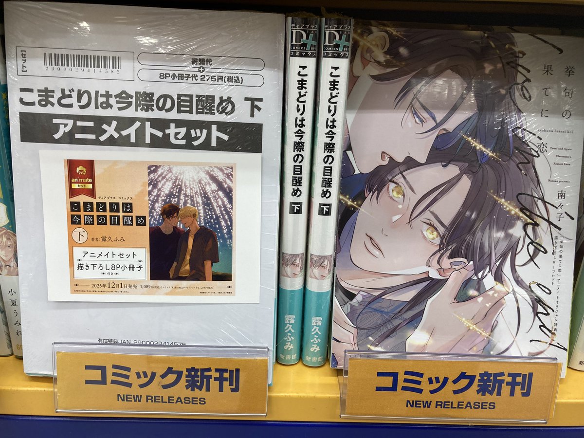 書籍入荷情報】 『こまどりは今際の目醒め 下』通常版＆8P小冊子付き